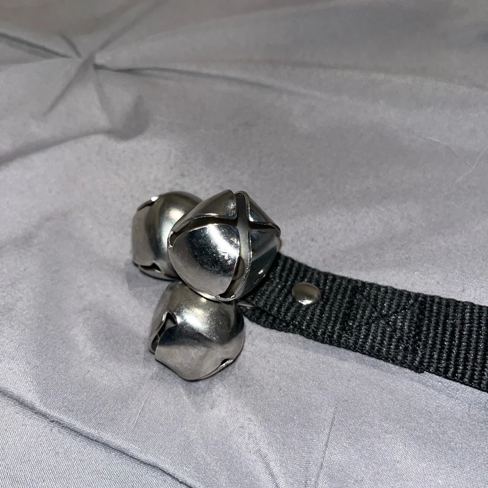 Dog Doorbell Potty Training Strap with Silver Bells